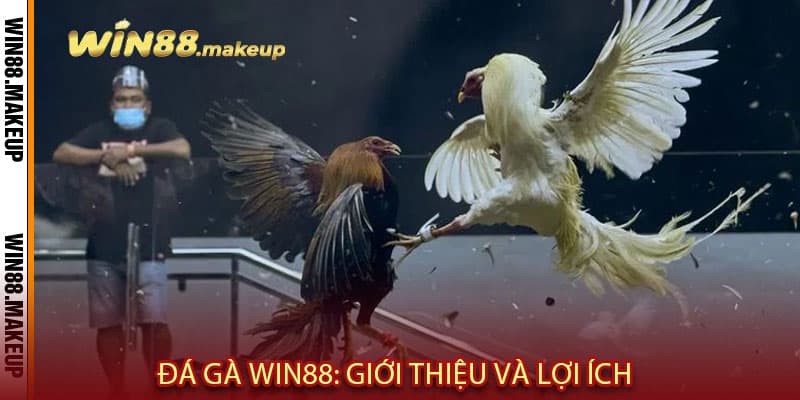 Đá Gà Win88: Giới thiệu và Lợi ích